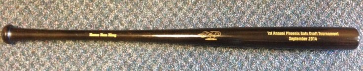 Wood bat - img1-cropped